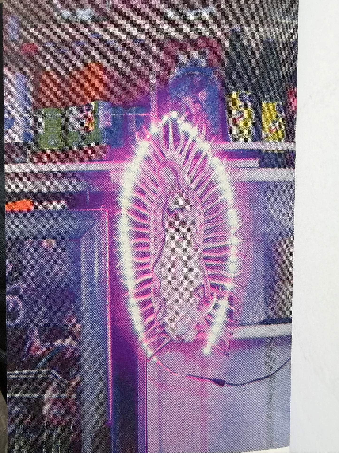 MURIO LA FLOR